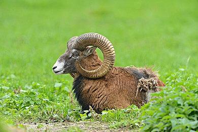 《毁灭战士：黑暗时代》总监解释取消多人模式原因