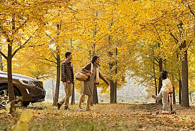 Gearbox和Riot开发者组建新工作室 获550万美元投资