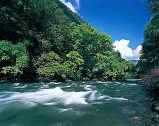 《方块方舟》Steam夏促销量创历史新高，中国区玩家激增