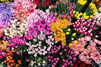 《方舟生存飞升》“灭绝”及“鲍勃废土之战”DLC上线，在线人数增长62%